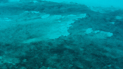 Aerial view of the waters of the Riviera Maya beaches, beautiful blues and a sunny day with space for copy.