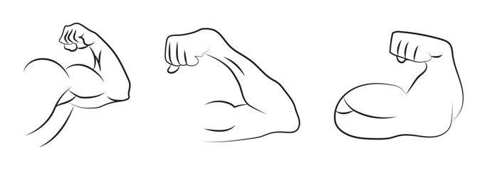Muscle liner icon vector set. Biceps. Muscle icon. Gym logo. Vector .Biceps icon Simple thin outline