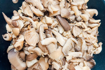 Pleurotus ostreatus of sliced mushrooms prepared for cooking in a pan