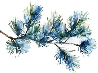 Pine branch watercolor isolated illustration, the fine details of the pine needles and texture captured with high-definition clarity 