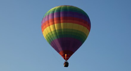 Fototapeta premium Close-up of chocolate truffles one cut in half showing the inside.