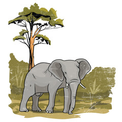 African elephant in the wild in vector format