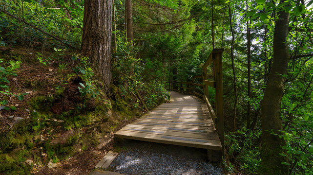 Raised wooden boardwalk with railings on BC urban forest trail.