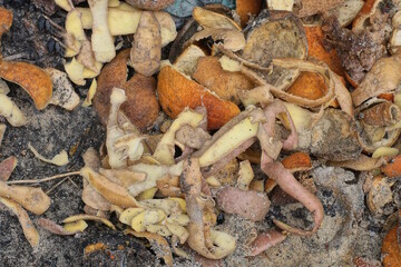 a pile of trash from scraps and orange and potato peels lies on the gray ground on a summer street