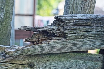Fototapeta premium broken old gray wooden board in an old fence on a rural street