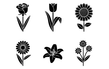 Six beautiful monochrome flower illustrations, showcasing a rose, tulip, sunflower, daisy, lily, and clustered daisies. A classic array of floral elegance.