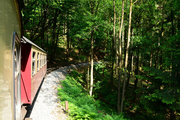 Waggon, Zug, Wald,. Natur, Reisen