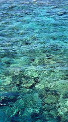 Clear turquoise water surface reveals vibrant coral reef beneath, showcasing the beauty of marine life and underwater ecosystems in a serene aquatic environment