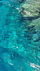 Clear turquoise water gently ripples over rocky seabed, showcasing vibrant aquatic life and natural textures, creating a serene underwater landscape for relaxation and exploration