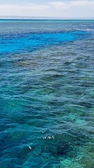 Obraz premium Vibrant turquoise ocean waves gently lap against rocky seabed, showcasing the beauty of marine life and underwater textures in a serene coastal environment