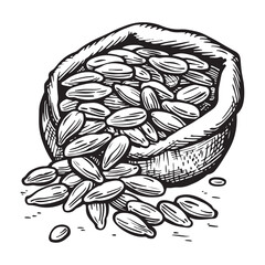 Vintage Illustration of a Sack Overflowing with Sunflower Seeds Black and White