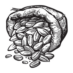 Vintage Illustration of a Sack Overflowing with Sunflower Seeds Black and White