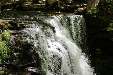 Forest hike along Loyalsock Creek in Sullivan County on a warm spring day