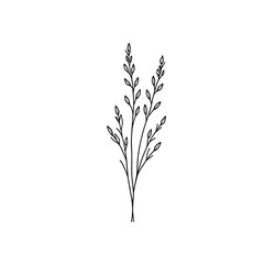An elegant illustration of delicate botanical line art of lavender plant, creating a sense of tranquility. Ideal for a variety of design projects.