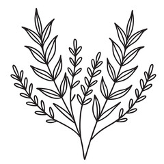 Fototapeta premium Elegant botanical illustration of black line art featuring leaves for decorative design elements and projects.