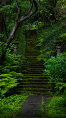 苔むす階段