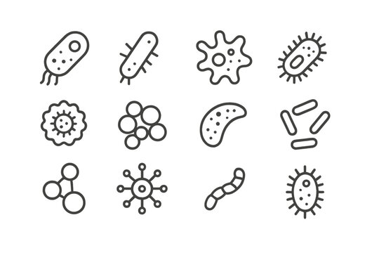 Various microorganisms illustrated in a simple and clear style, showcasing their diverse shapes and forms