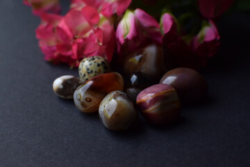 Agate, jasper, crystals and alstroemeria flowers on a gray background.
