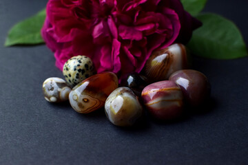 Agate, jasper, crystals and rose flowers on a gray background.