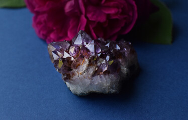 Beautiful intergrowth of amethyst crystals and a rose flower on a blue background. Healing crystals.