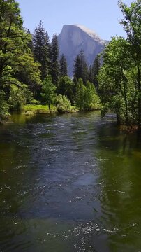 Vertical Video of the Merced River and Half Dome, During the Summer. 