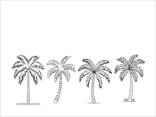 Obraz premium vector illustration of a palm tree. Palm tree vector. Palm tree silhoutte. Tropical palm tree.Vector set of hand-drawn palm trees in black and white outline.Minimal tropical design perfect for summer.