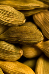 Macro photograph of whole green cardamom pods used as a culinary and aromatic spice