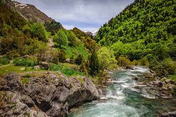 Valle de Bujaruelo en el pirineo, Torla, España