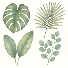 Watercolor Tropical Leaf Collection