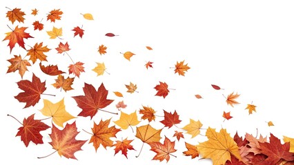 Autumn leaves fall background maple leaf foliage season colorful october november design art