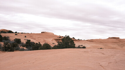 Utah Desert