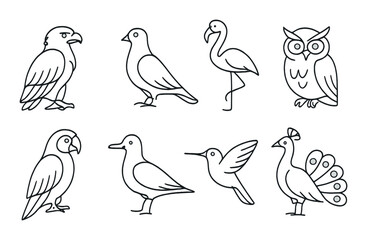 Bird icons set in linear style &ndash; simple, outline, avian graphics for design projects