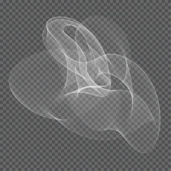 Realistic white transparent smoke. Vector illustration