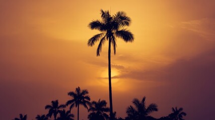 Tropical sunset silhouette of palm trees against vibrant orange sky