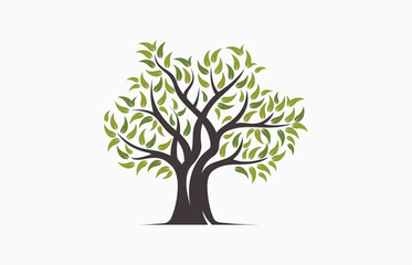 Obraz premium Tree logo template, vector illustration 