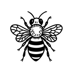Fototapeta premium Doodle Honeybee Art - Order Hymenoptera