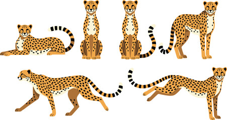 Cheetah collection. Vector illustration of cartoon cheetah in various actions: lies, sitting, standing, walking, and running. Isolated on white