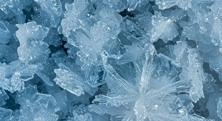 Fototapeta premium Icy Photo of Macro Frozen Snowflakes Crystal Winter Background