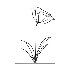 tulip, poppy, and corn cockle flowers illustration in one line art style. continuous drawing in vector best used for icon, Set of Herbs and Wild Flowers. Hand drawn floral elements.