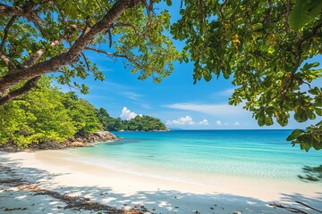 Tropical beach with turquoise water and lush green trees under clear blue sky