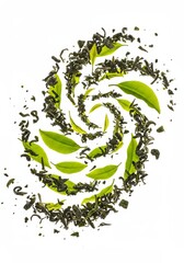 Isolated Photo Green Tea Leaves in Spiral Pattern Fresh White Backdrop
