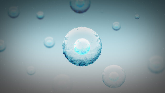 Many Stem Cells within the Body of a Young Child

No AI was used in the making of this clip.