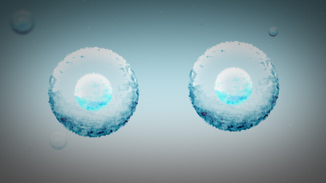 Two Stem Cells Replicate in the Human Body

No AI was used in the making of this clip.