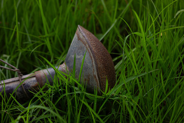 A close-up of a rusted metal watering can spout lying on vibrant green grass, highlighting garden tools and the beauty of natural decay.

