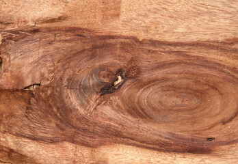 やさしい木の目