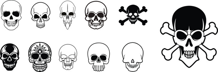 Human skull illustration.