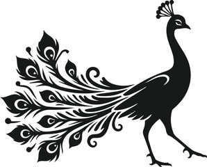 Fototapeta premium Clipart drawing of a cute bird animal peacock vector