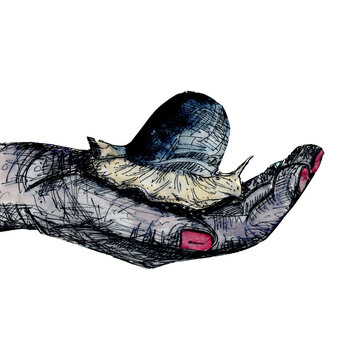 My snail