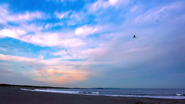 江の島と烏帽子岩の見える湘南海岸に打ち寄せる波と夕焼け空にカラスの飛ぶ風景（合成タイムラプス動画）