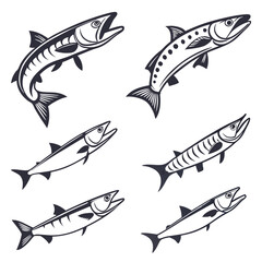 barracuda icon set of  6 silhouette icon vector